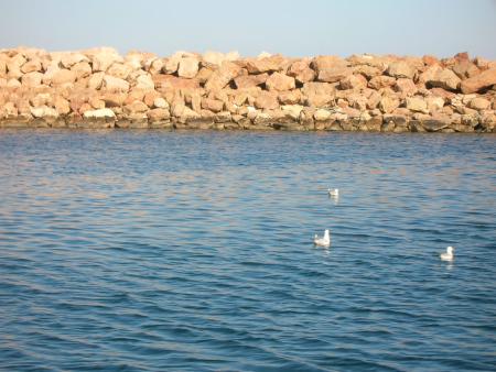 MER DE ZARAT 